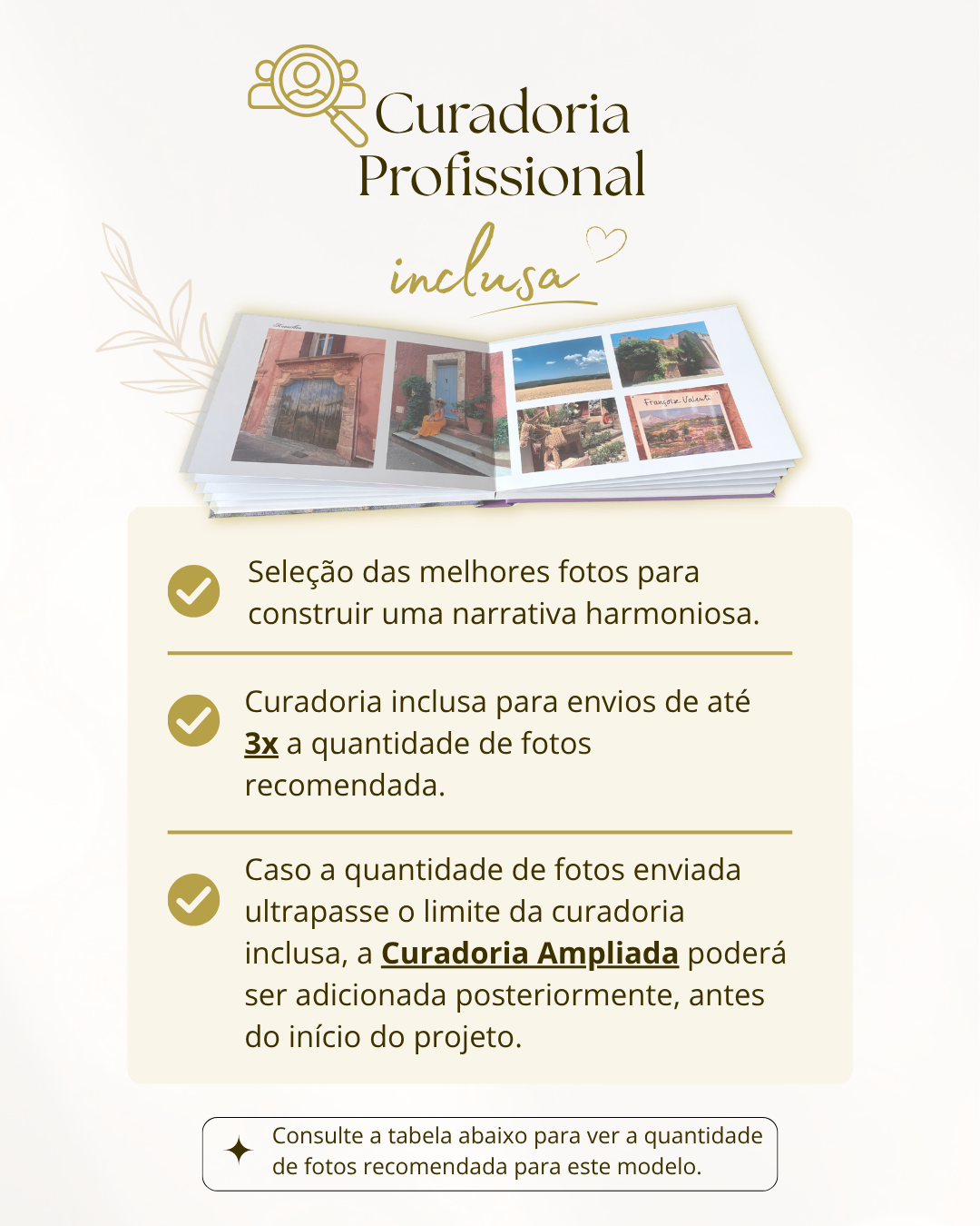 Curadoria Profissional